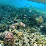 Photo taken by Izabella L