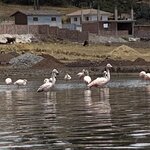 Photo taken by martin M