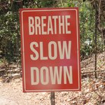 Photo taken by Pat K