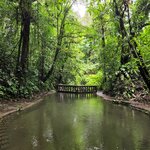 Photo taken by Esther B