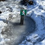 Photo taken by Jessica A