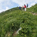 Photo taken by Shree L