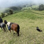 Photo taken by enrique jose g