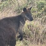 Photo taken by Lori V