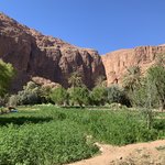 Photo taken by Kaylyn E