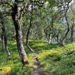 Photo taken by Sullivan S