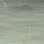 Photo taken by Gary W