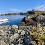 Photo taken by Emily C