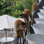 Photo taken by William R