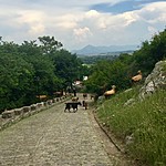 Photo taken by Richard P