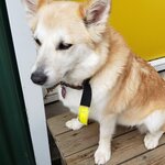 Photo taken by Amy C