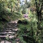 Photo taken by Matthew M