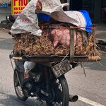 Photo taken by Brian C