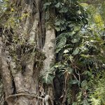 Photo taken by Dixie W