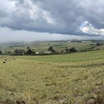 Photo taken by enrique jose g