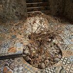 Photo taken by Graciela P