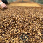 Photo taken by Dana F