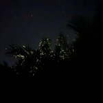 Photo taken by Edit M