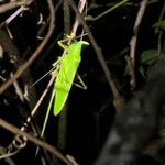 Photo taken by clenie v