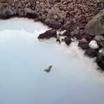 Photo taken by Amanda D