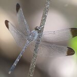 Photo taken by Cathy T