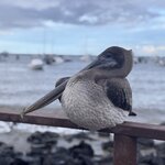 Photo taken by Ben S