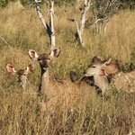 Photo taken by Kaye D