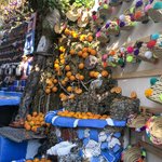 Photo taken by Kristy T