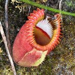 Photo taken by Rob C