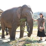 Photo taken by Megan H