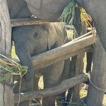 Photo taken by Megan H