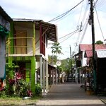 Photo taken by Joyce C