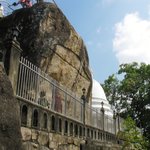 Photo taken by Alfred T