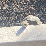 Photo taken by Jessica S