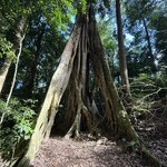 Photo taken by Bert B