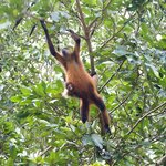 Photo taken by Dawne D