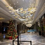 Photo taken by Kim D