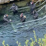 Photo taken by Deann M