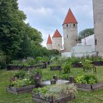 Photo taken by Arundhati G