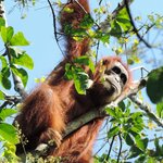 Photo taken by Matteo R