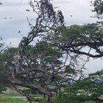 Photo taken by Tanya G