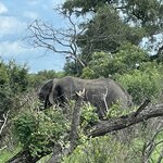 Photo taken by Jeanine B