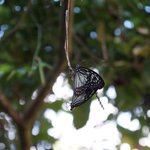 Photo taken by Alexandra G