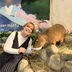 Photo taken by Ray S