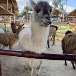 Photo taken by Anisha L