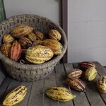 Photo taken by Steven P