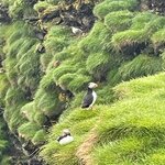 Photo taken by Sadhana K