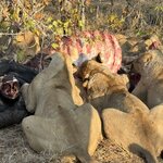 Photo taken by Paul B