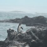 Photo taken by Ben S