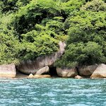 Photo taken by Kaitlin J